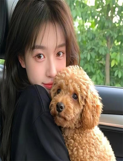 法证先锋6电视剧全集在线观看_赘婿在线观看免费观看_猎罪图鉴2电视剧在线观看免费